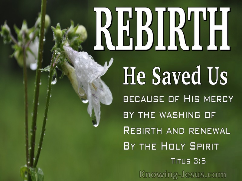 Titus 3:5 He Saved Us (sage)